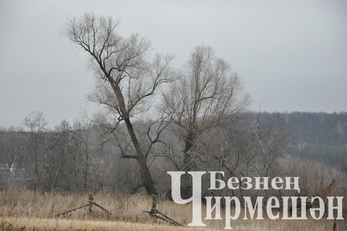 В объективе - деревня Чумачка (ФОТОРЕПОРТАЖ)