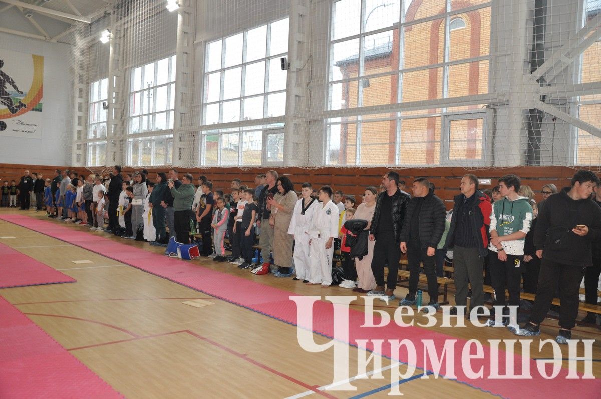 В Черемшане прошли соревнования по тхэквондо (ФОТОРЕПОРТАЖ)