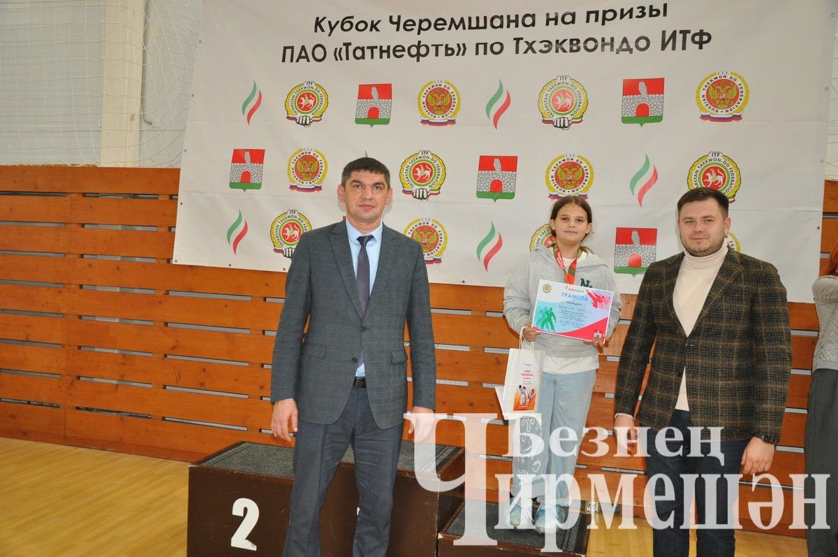 В Черемшане прошли соревнования по тхэквондо (ФОТОРЕПОРТАЖ)