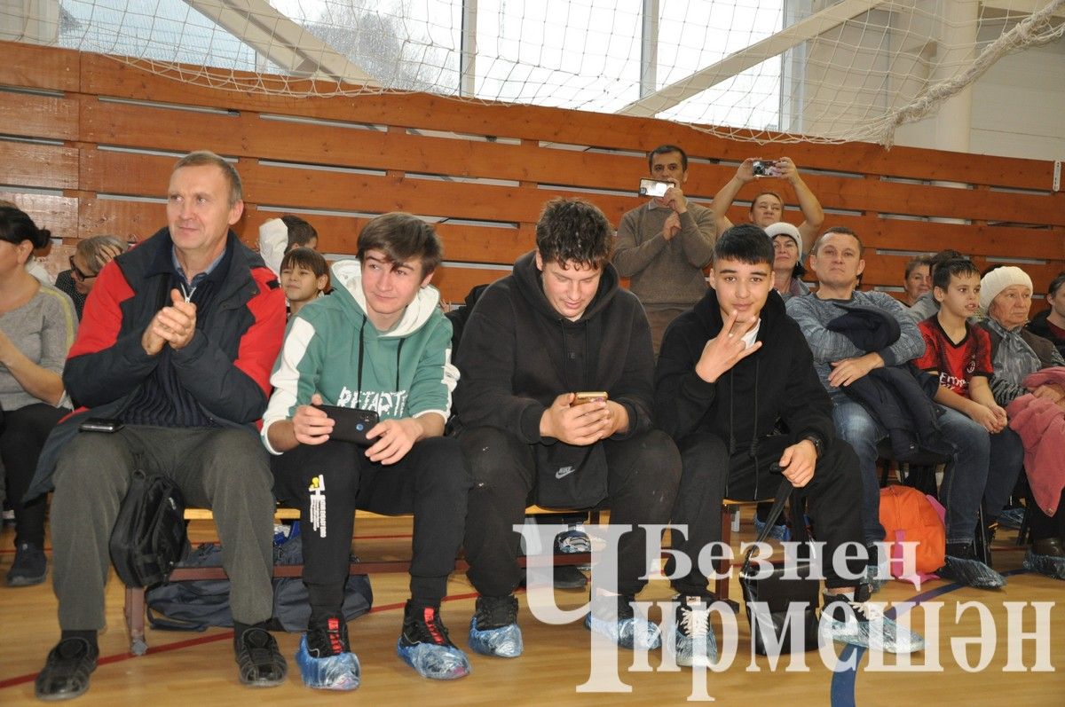 В Черемшане прошли соревнования по тхэквондо (ФОТОРЕПОРТАЖ)