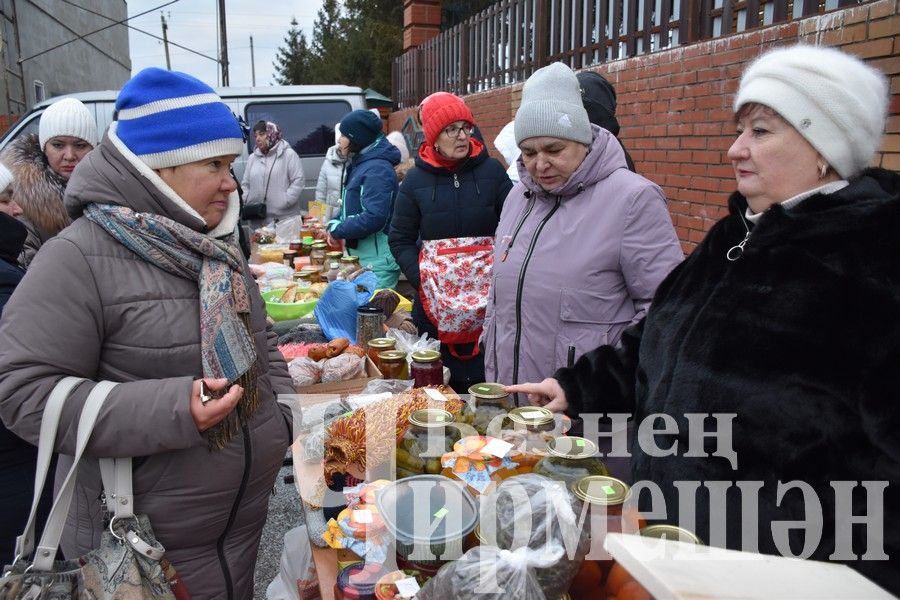 Чирмешәнлеләр махсус хәрби операциядәге якташларга ярдәм итү өчен Игелек ярминкәсе оештырдылар (ФОТОРЕПОРТАЖ)