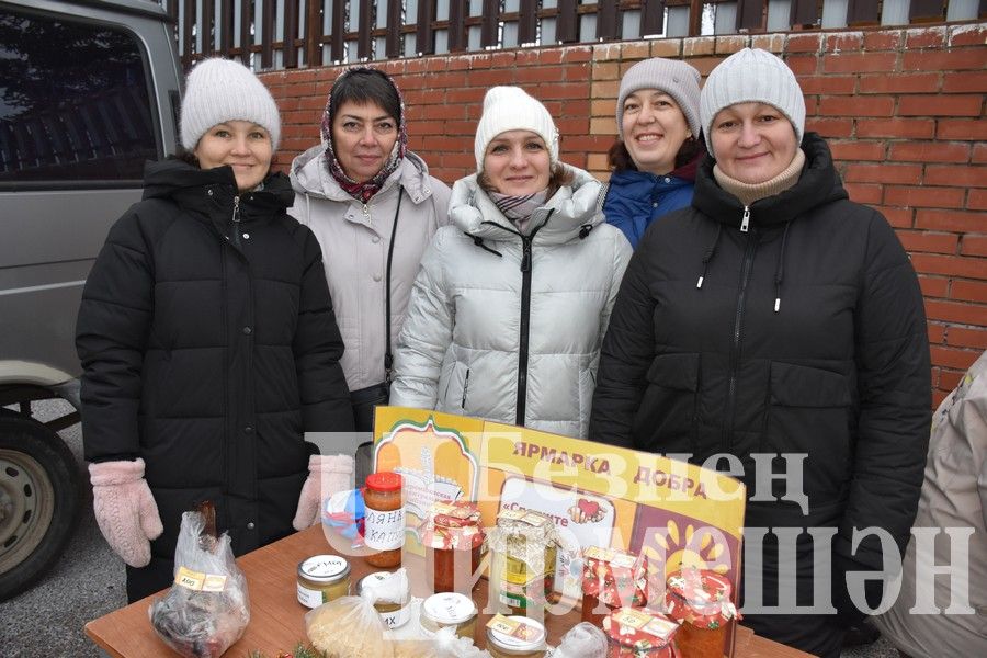 Чирмешәнлеләр махсус хәрби операциядәге якташларга ярдәм итү өчен Игелек ярминкәсе оештырдылар (ФОТОРЕПОРТАЖ)