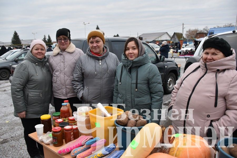 Чирмешәнлеләр махсус хәрби операциядәге якташларга ярдәм итү өчен Игелек ярминкәсе оештырдылар (ФОТОРЕПОРТАЖ)