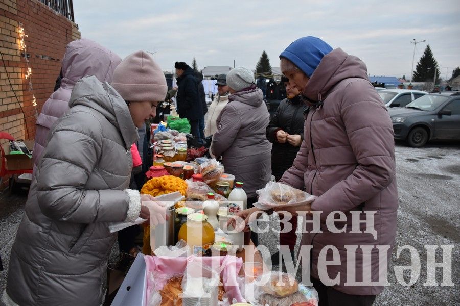 Чирмешәнлеләр махсус хәрби операциядәге якташларга ярдәм итү өчен Игелек ярминкәсе оештырдылар (ФОТОРЕПОРТАЖ)