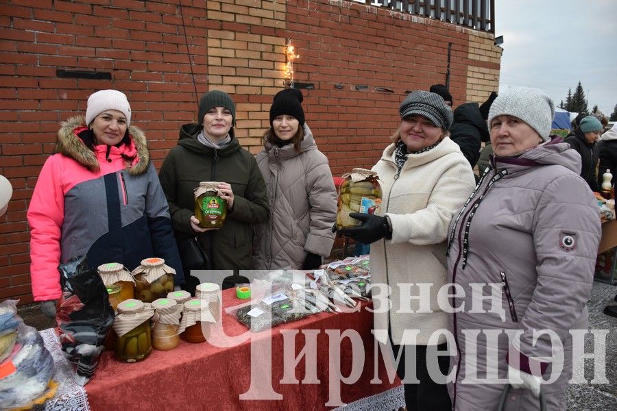 Чирмешәнлеләр махсус хәрби операциядәге якташларга ярдәм итү өчен Игелек ярминкәсе оештырдылар (ФОТОРЕПОРТАЖ)