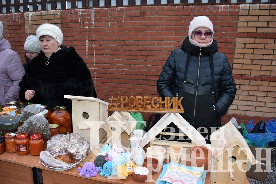 Чирмешәнлеләр махсус хәрби операциядәге якташларга ярдәм итү өчен Игелек ярминкәсе оештырдылар (ФОТОРЕПОРТАЖ)