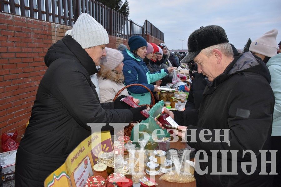 Чирмешәнлеләр махсус хәрби операциядәге якташларга ярдәм итү өчен Игелек ярминкәсе оештырдылар (ФОТОРЕПОРТАЖ)