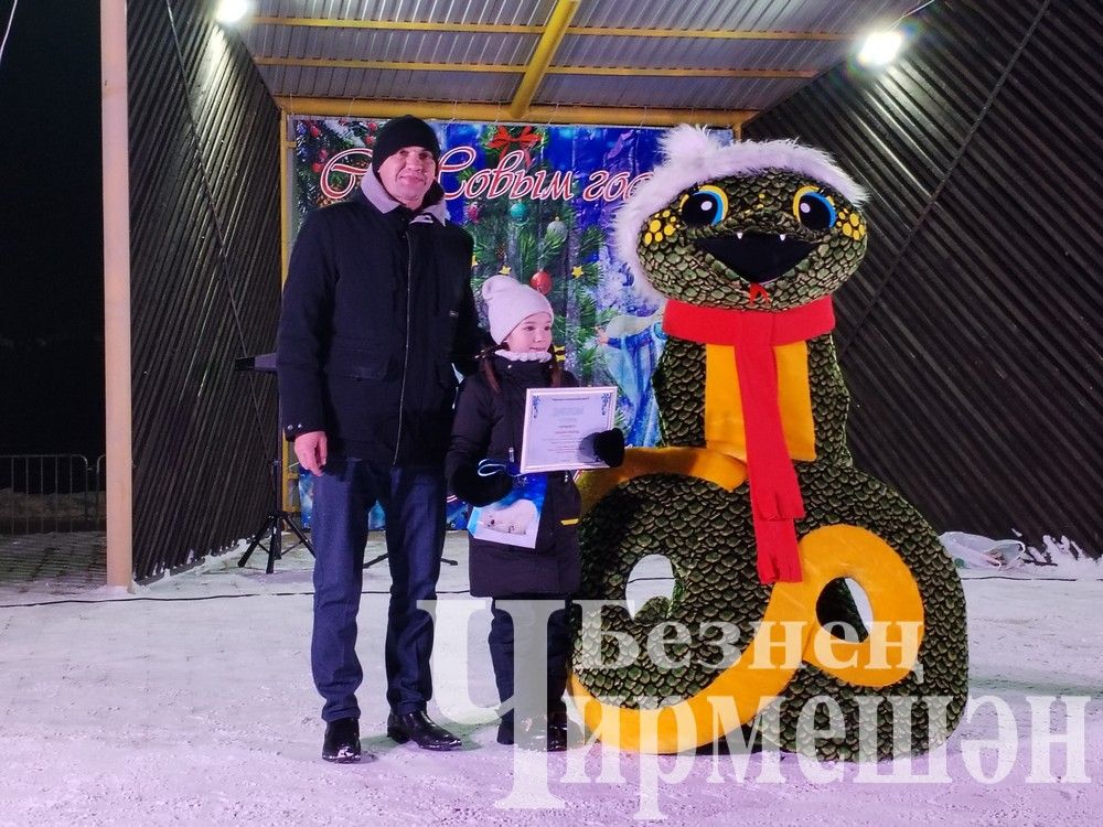 В Черемшане зажглись огни центральной елки (ФОТОРЕПОРТАЖ)