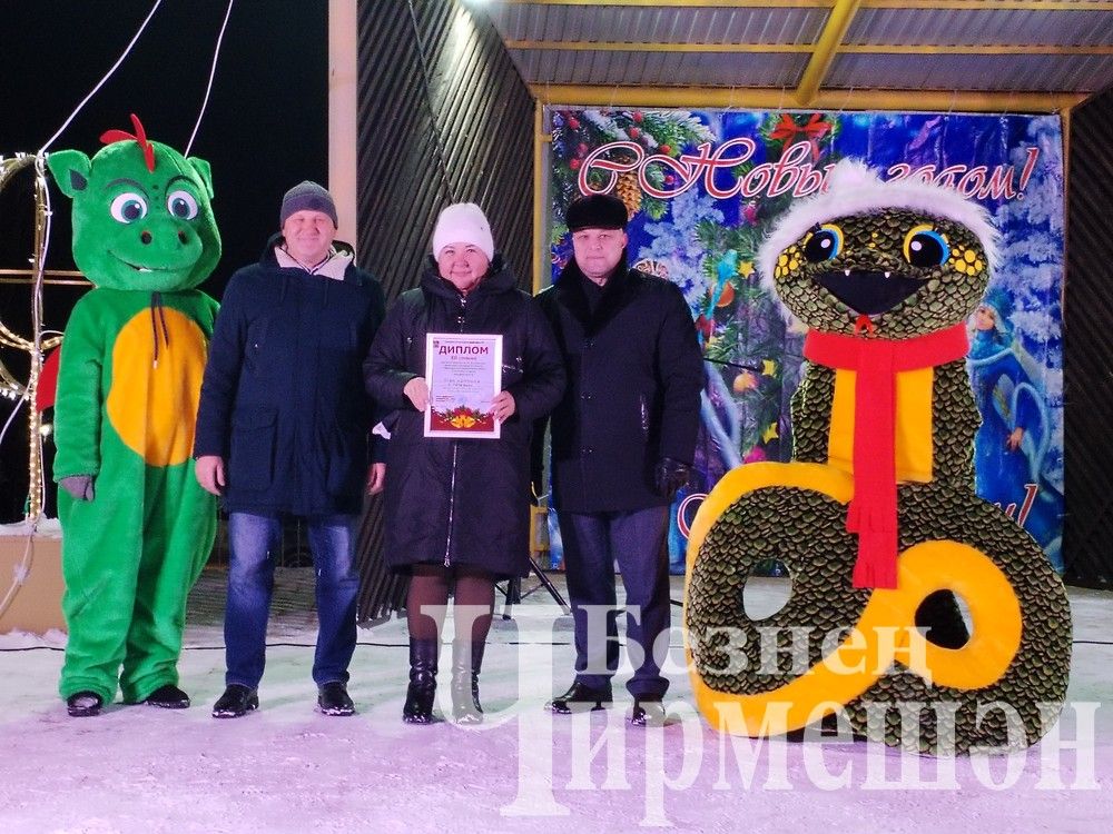 В Черемшане зажглись огни центральной елки (ФОТОРЕПОРТАЖ)