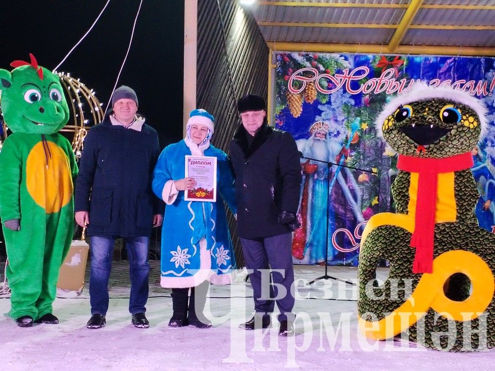 В Черемшане зажглись огни центральной елки (ФОТОРЕПОРТАЖ)