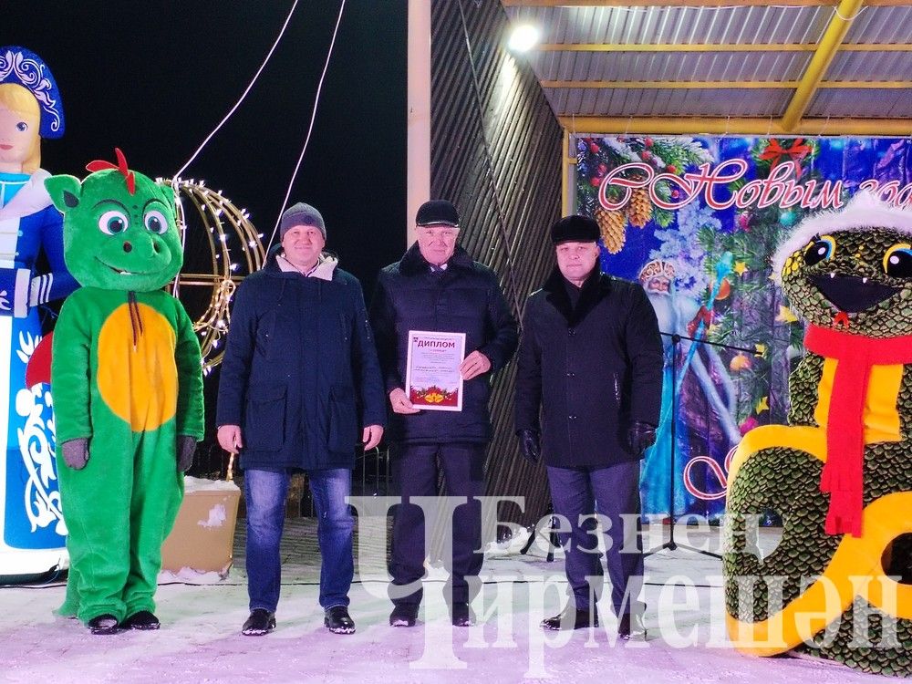 В Черемшане зажглись огни центральной елки (ФОТОРЕПОРТАЖ)