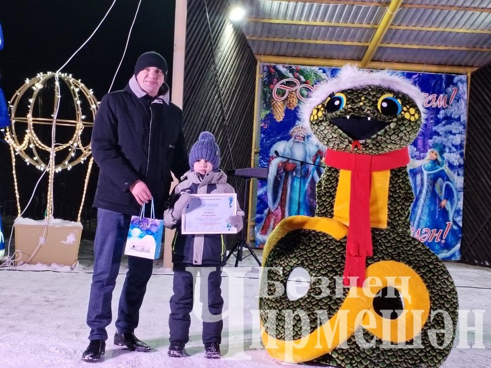 В Черемшане зажглись огни центральной елки (ФОТОРЕПОРТАЖ)