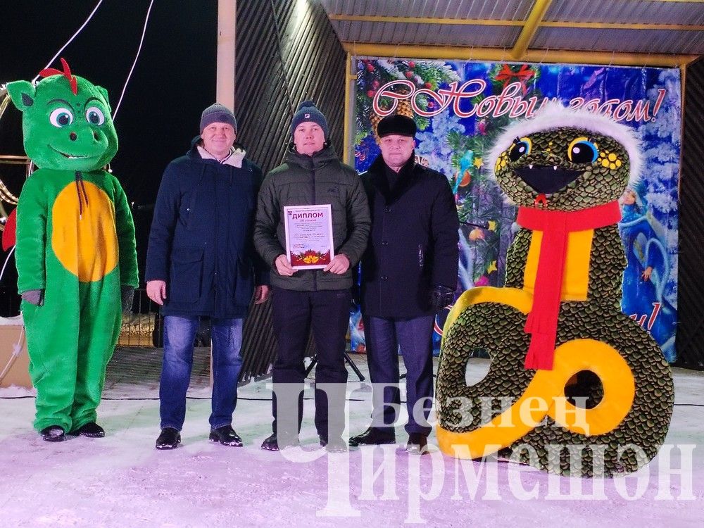 В Черемшане зажглись огни центральной елки (ФОТОРЕПОРТАЖ)