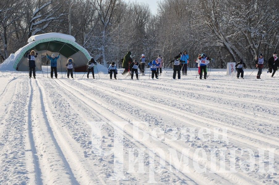 В Черемшане в соревнованиях "Лыжня Татарстана-2024" приняли участие около 300 спортсменов (ФОТОРЕПОРТАЖ)