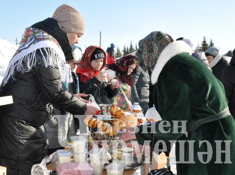 Черемшанский лицей в день выборов организовал благотворительную ярмарку (ФОТОРЕПОРТАЖ)