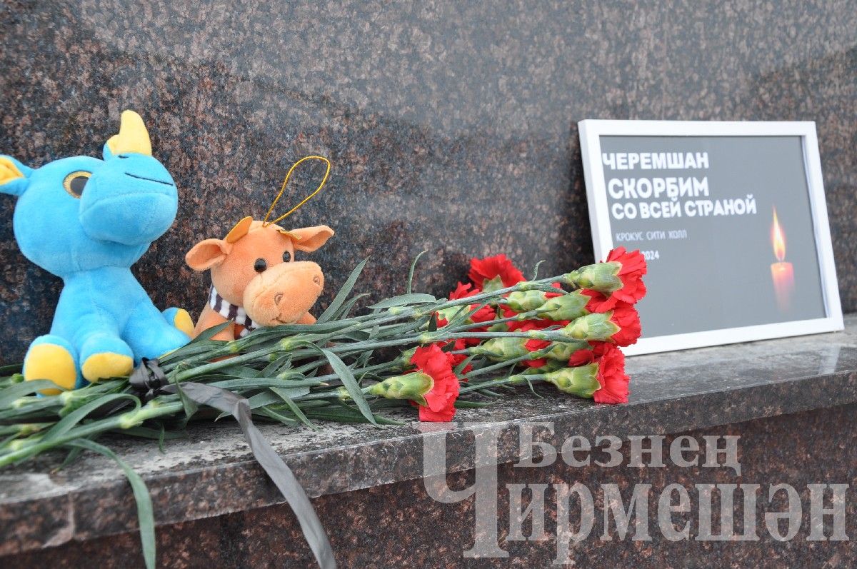 Возложение цветов в день траура по погибшим в "Крокус Сити Холл" (ФОТОРЕПОРТАЖ)