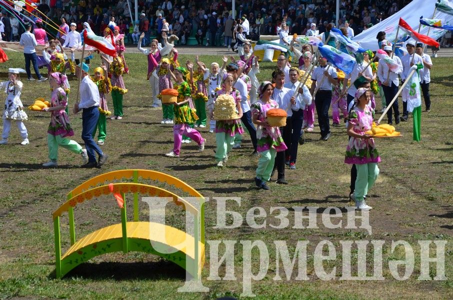 Вспомним яркие моменты районного Сабантуя в Черемшане (ФОТОРЕПОРТАЖ)