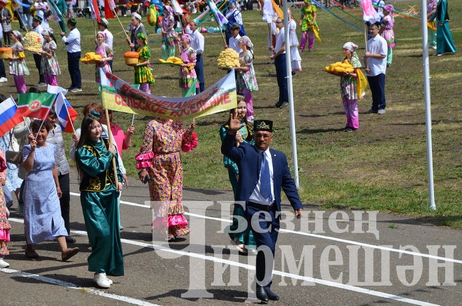 Вспомним яркие моменты районного Сабантуя в Черемшане (ФОТОРЕПОРТАЖ)