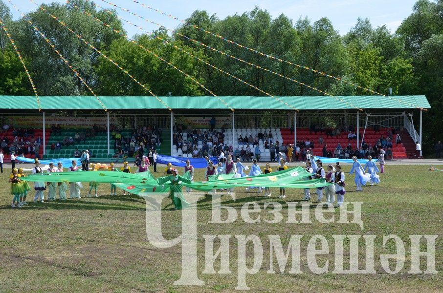 Вспомним яркие моменты районного Сабантуя в Черемшане (ФОТОРЕПОРТАЖ)