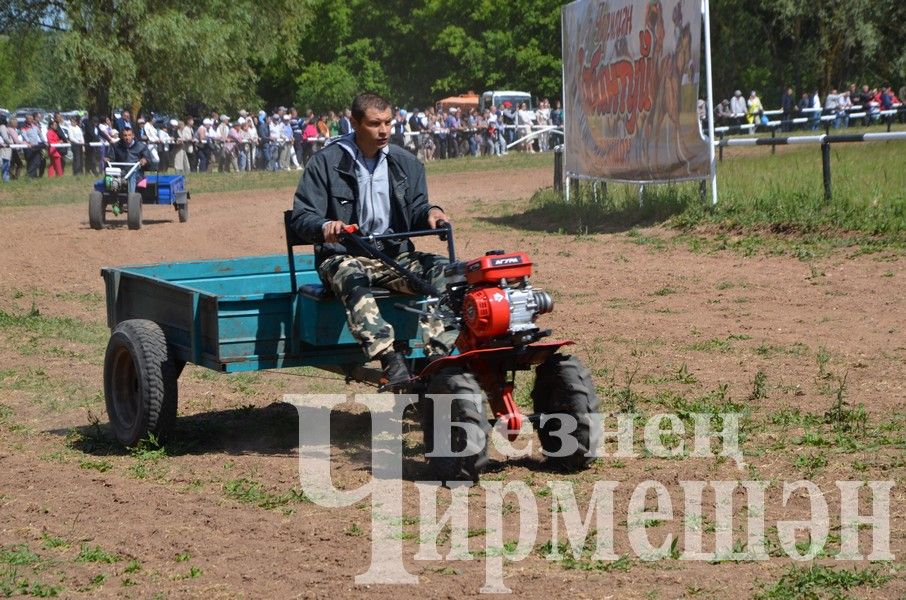 Вспомним яркие моменты районного Сабантуя в Черемшане (ФОТОРЕПОРТАЖ)