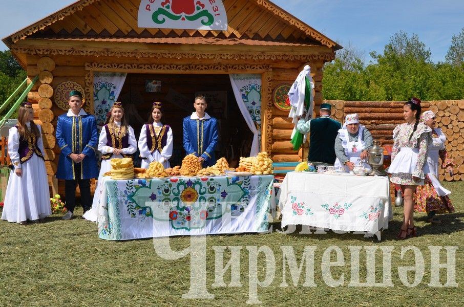 Вспомним яркие моменты районного Сабантуя в Черемшане (ФОТОРЕПОРТАЖ)