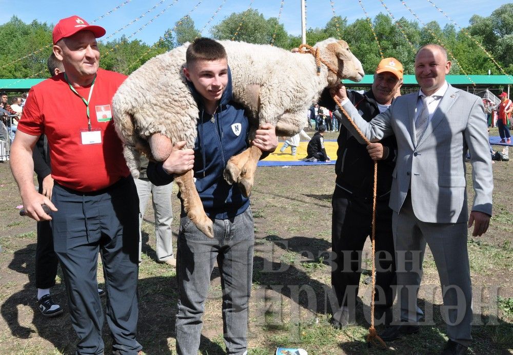 Вспомним яркие моменты районного Сабантуя в Черемшане (ФОТОРЕПОРТАЖ)