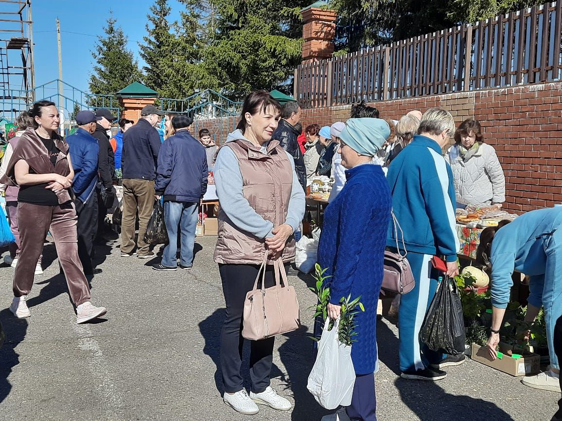 Коллективы школ, детских садов и родители Черемшанского района организовали "Ярмарку добра" (ФОТОРЕПОРТАЖ)