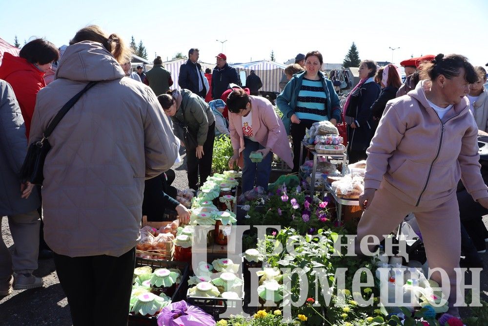 Коллективы школ, детских садов и родители Черемшанского района организовали "Ярмарку добра" (ФОТОРЕПОРТАЖ)