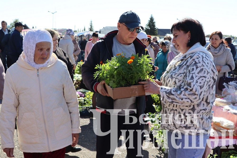 Коллективы школ, детских садов и родители Черемшанского района организовали "Ярмарку добра" (ФОТОРЕПОРТАЖ)