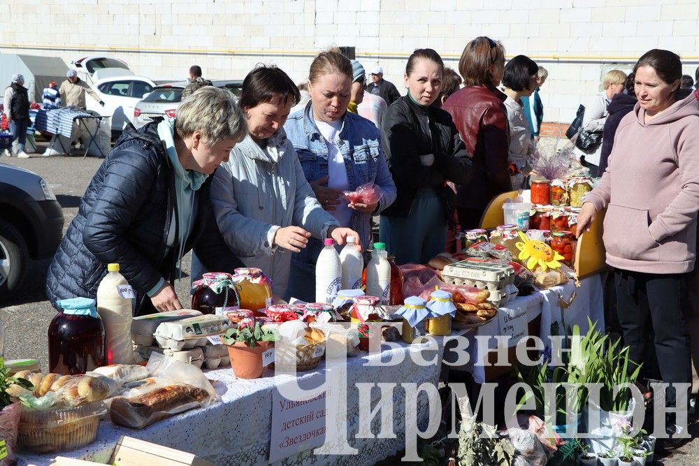 Коллективы школ, детских садов и родители Черемшанского района организовали "Ярмарку добра" (ФОТОРЕПОРТАЖ)