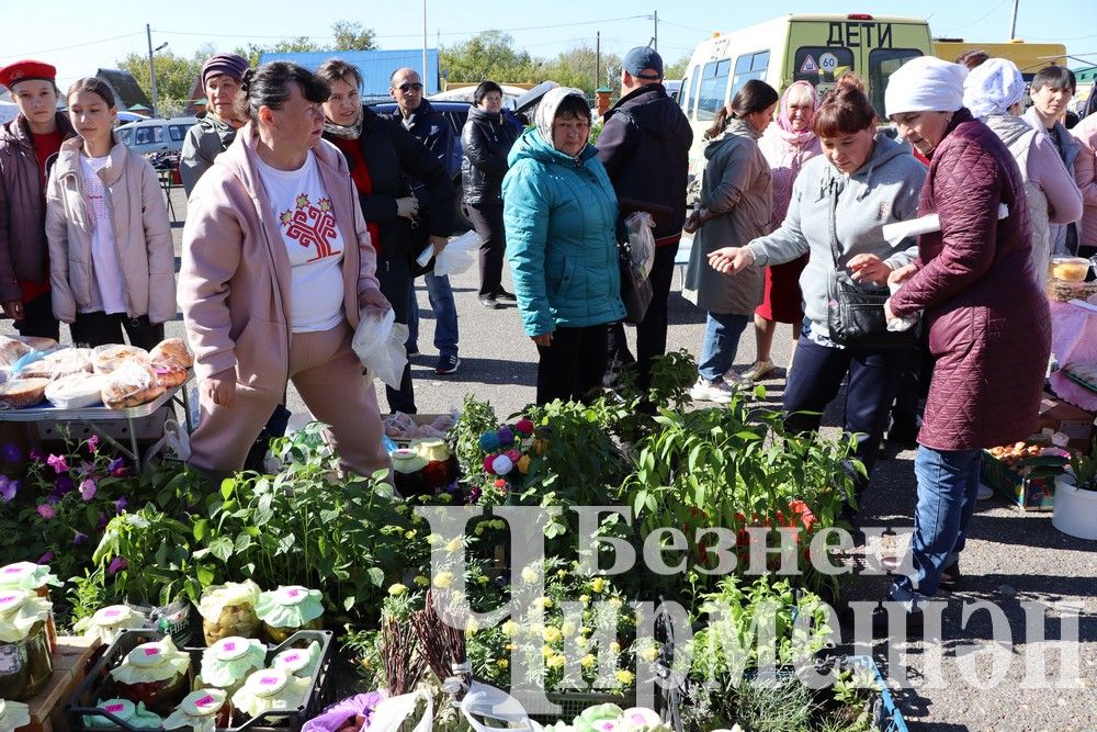 Коллективы школ, детских садов и родители Черемшанского района организовали "Ярмарку добра" (ФОТОРЕПОРТАЖ)