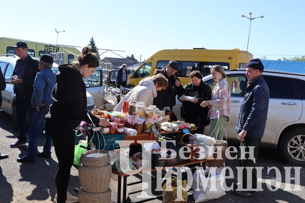 Коллективы школ, детских садов и родители Черемшанского района организовали "Ярмарку добра" (ФОТОРЕПОРТАЖ)