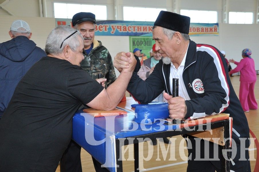 В Черемшане провели спартакиаду пенсионеров "Третий возраст" (ФОТОРЕПОРТАЖ)