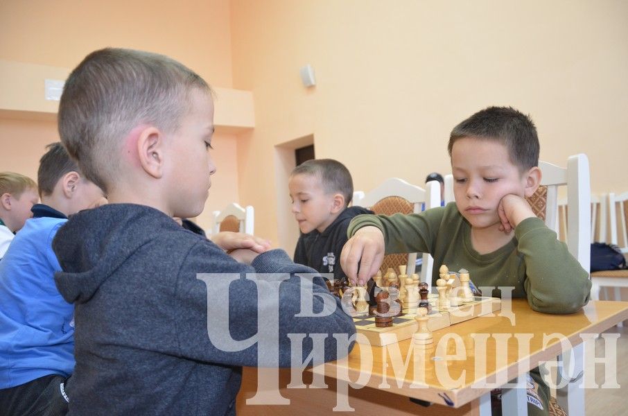 В Черемшане организовали шахматный турнир на призы главы района (ФОТОРЕПОРТАЖ)