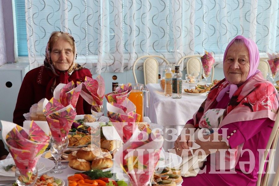 В Черемшане детей войны пригласили на праздничный обед (ФОТОРЕПОРТАЖ)