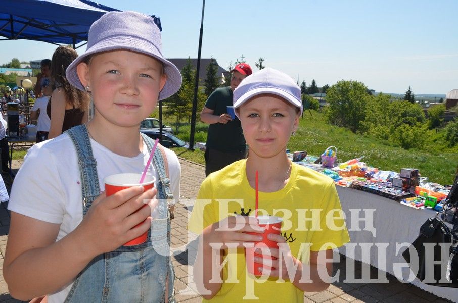 В Черемшане прошел праздник, посвященный Международному дню защиты детей (ФОТОРЕПОРТАЖ)