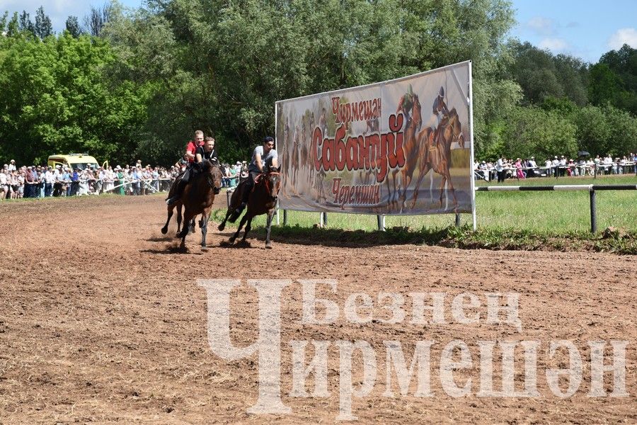 Сабантуй в Черемшане 2024: конные скачки и борьба на лошадях "Аударыш" (ФОТОРЕПОРТАЖ)