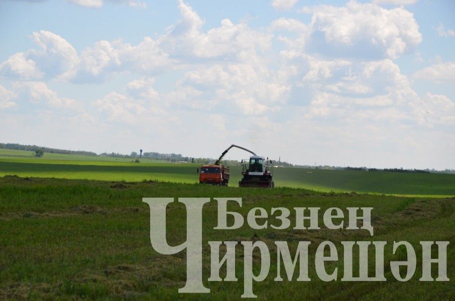 В Верхнекаменском обществе "Ильхан" приступили к заготовке сенажа (ФОТОРЕПОРТАЖ)