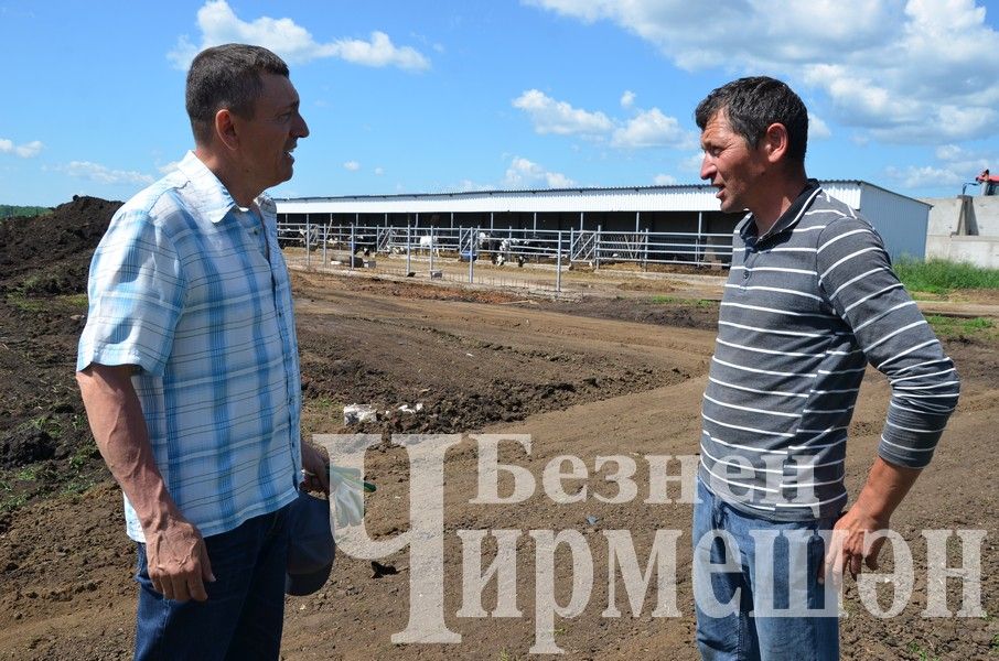 В Верхнекаменском обществе "Ильхан" приступили к заготовке сенажа (ФОТОРЕПОРТАЖ)