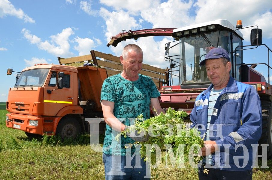 В Верхнекаменском обществе "Ильхан" приступили к заготовке сенажа (ФОТОРЕПОРТАЖ)