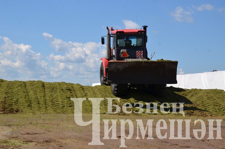 В Верхнекаменском обществе "Ильхан" приступили к заготовке сенажа (ФОТОРЕПОРТАЖ)