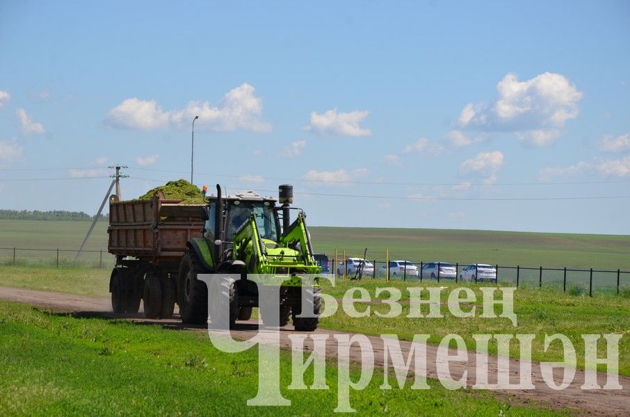 В Верхнекаменском обществе "Ильхан" приступили к заготовке сенажа (ФОТОРЕПОРТАЖ)