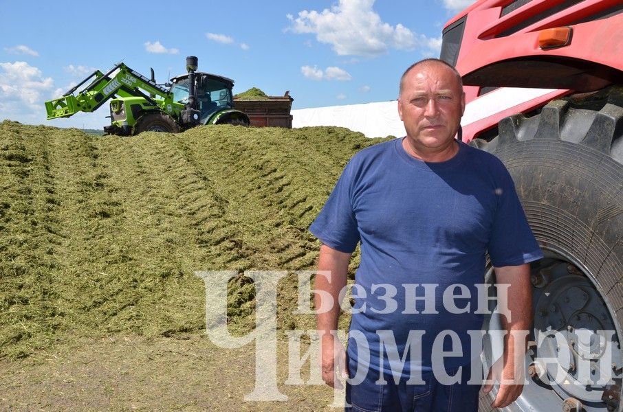 В Верхнекаменском обществе "Ильхан" приступили к заготовке сенажа (ФОТОРЕПОРТАЖ)