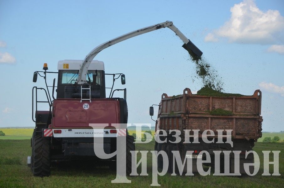 В Верхнекаменском обществе "Ильхан" приступили к заготовке сенажа (ФОТОРЕПОРТАЖ)