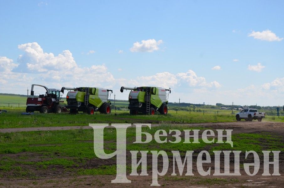 В Верхнекаменском обществе "Ильхан" приступили к заготовке сенажа (ФОТОРЕПОРТАЖ)