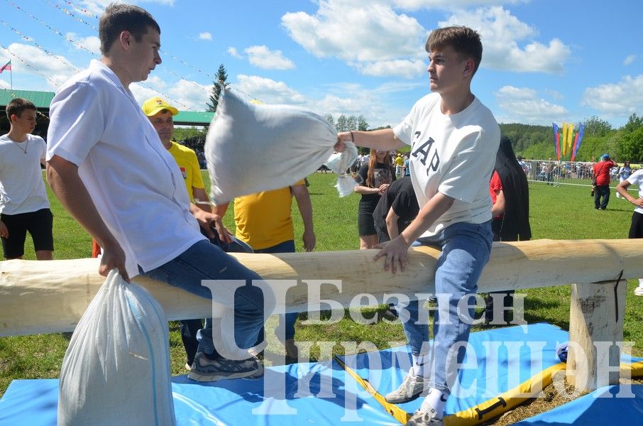 Сабантуй в Черемшане 2024: национальные игры, награждения (ФОТОРЕПОРТАЖ)