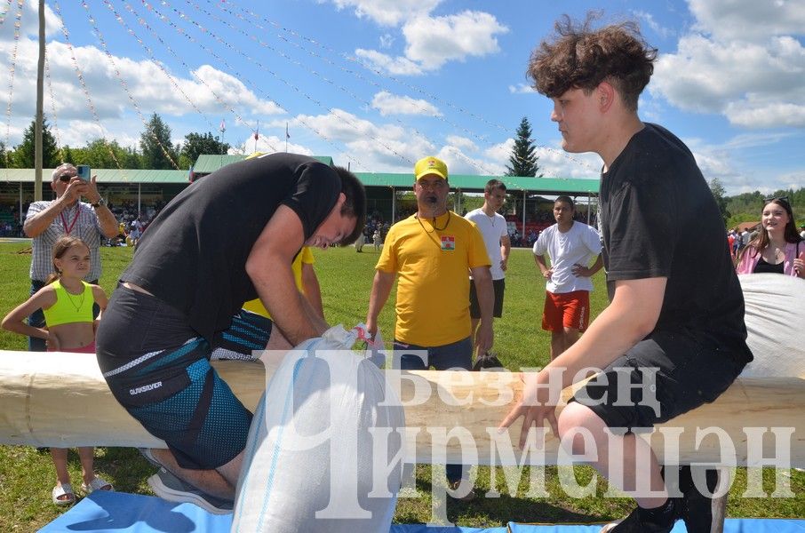 Сабантуй в Черемшане 2024: национальные игры, награждения (ФОТОРЕПОРТАЖ)