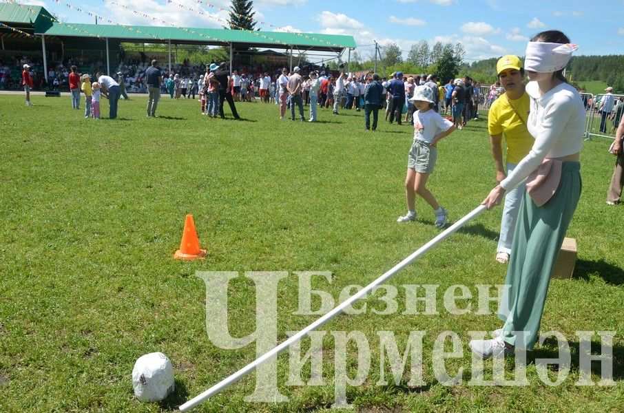 Сабантуй в Черемшане 2024: национальные игры, награждения (ФОТОРЕПОРТАЖ)