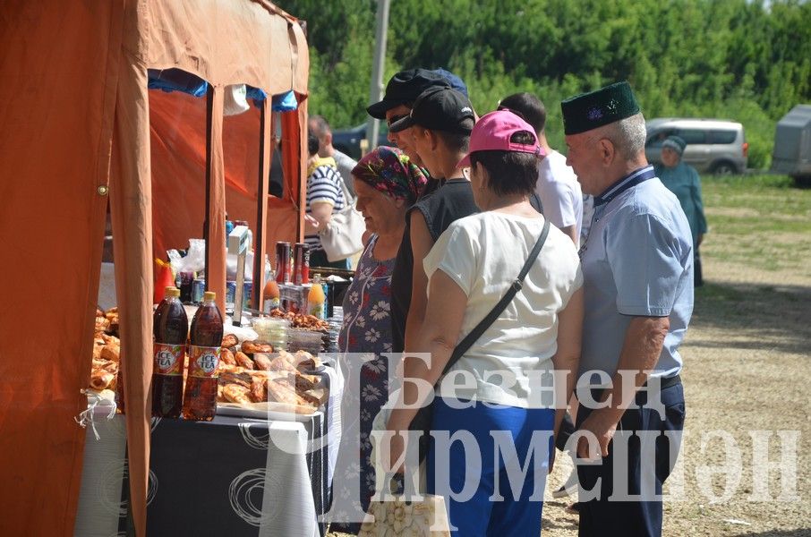 Сабантуй в Черемшане 2024: национальные игры, награждения (ФОТОРЕПОРТАЖ)