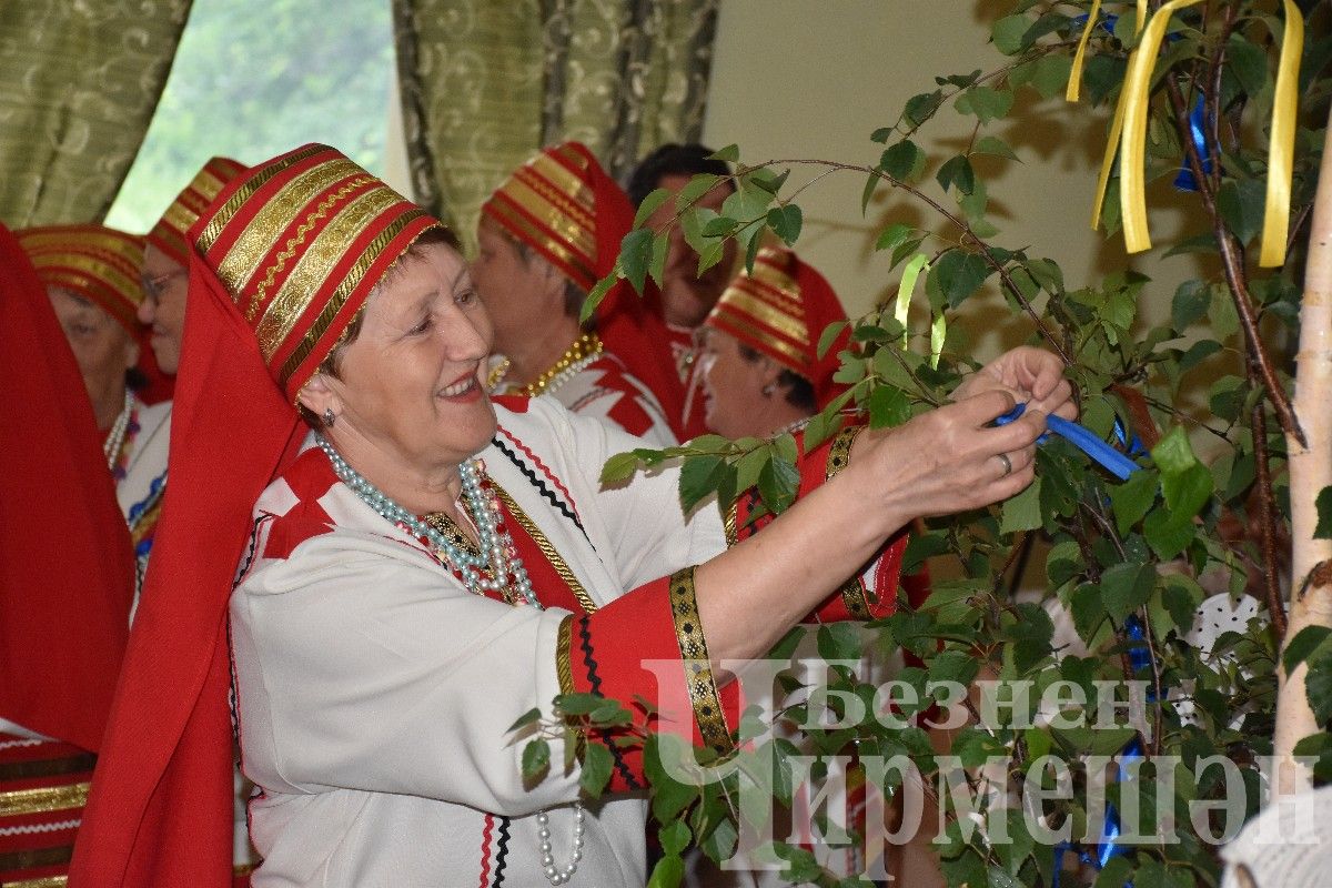 В селе Мордовское Афонькино на Троицу организовали большой праздник (ФОТОРЕПОРТАЖ)